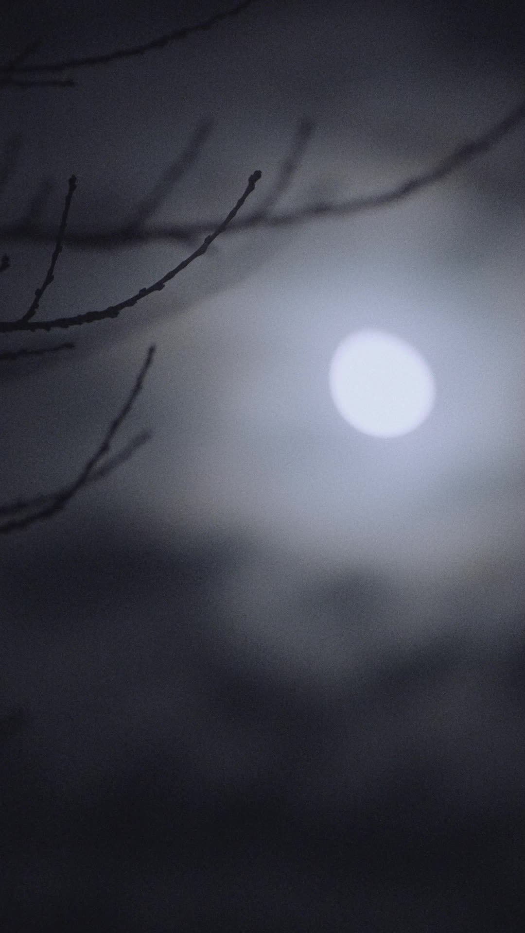 Episódio 34 de Verdadeiro Luna