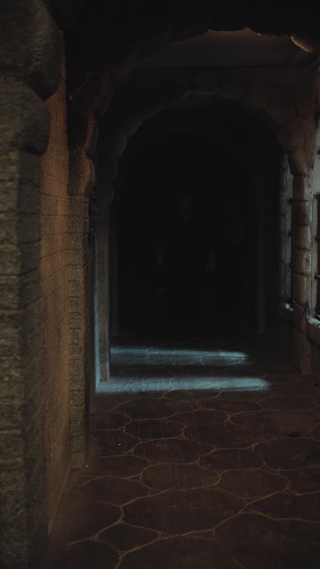 Episódio 56 de Verdadeiro Luna