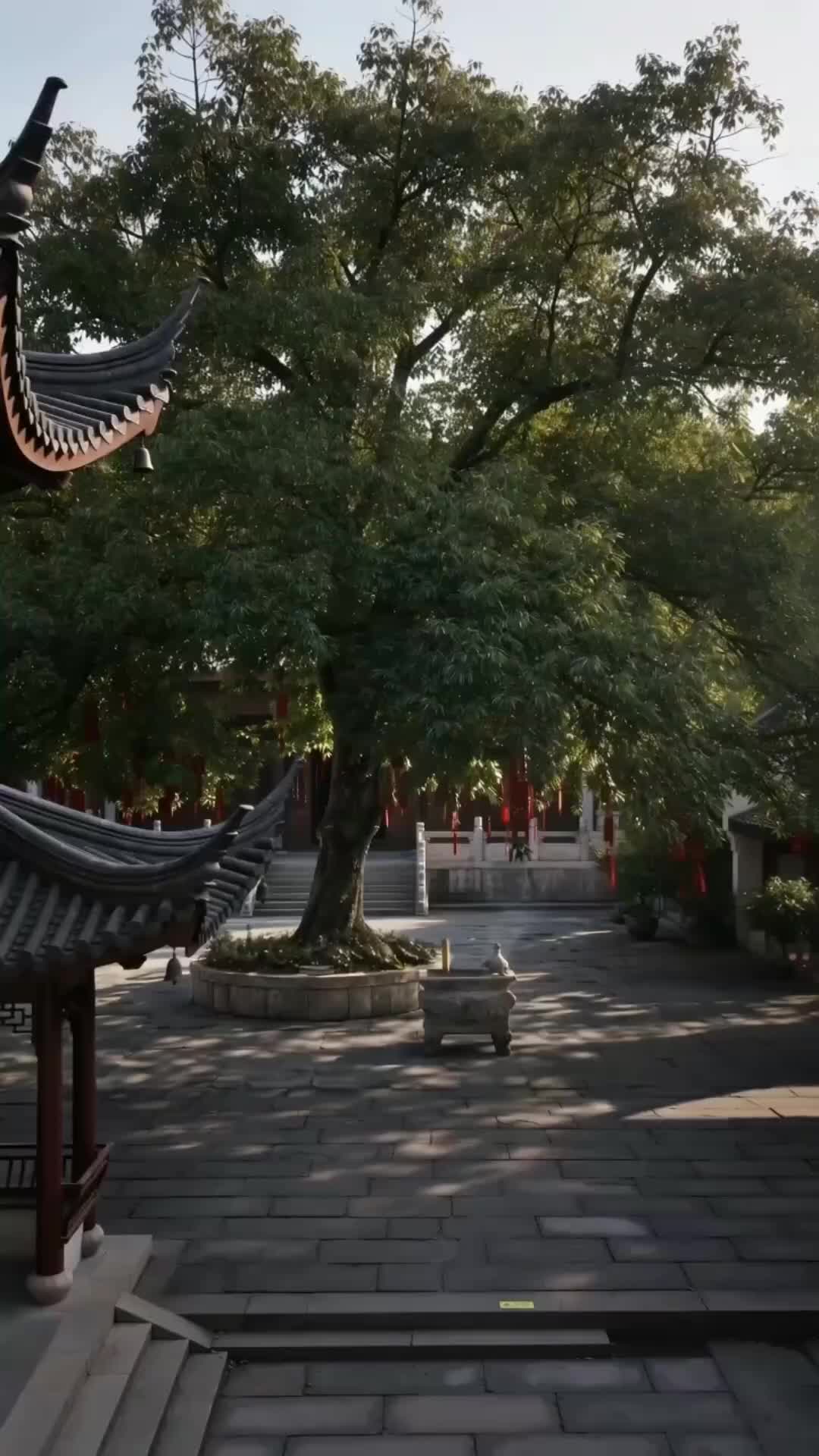 Episode 34 of When Love Takes Hold