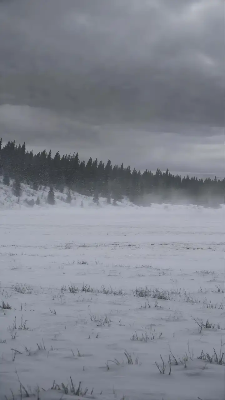 Episode 1 of Wolf of the North