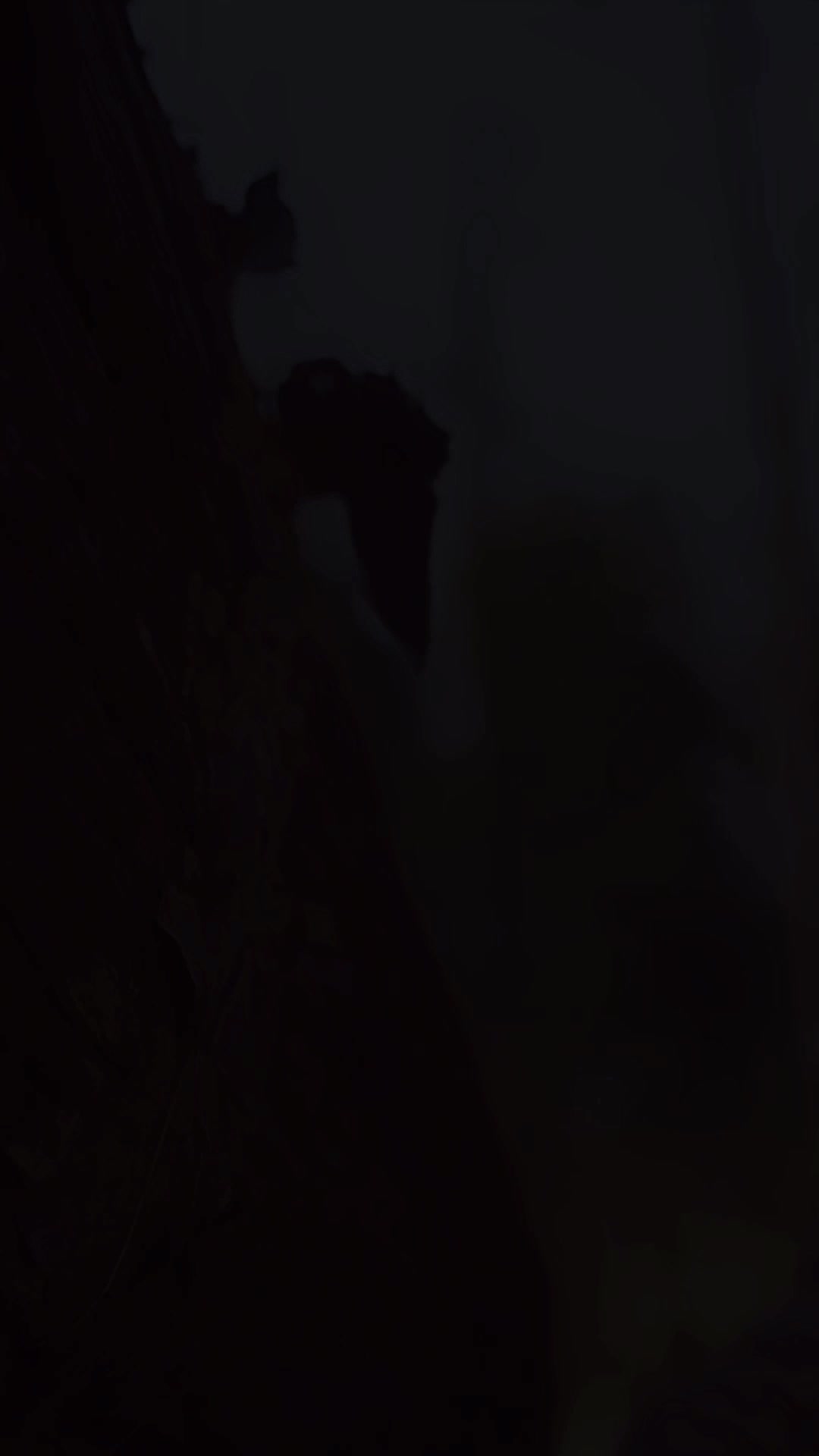 Episodio 1 de Ya no está dispuesto a perderla